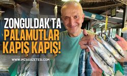 Zonguldak’ta Palamutlar Kapış Kapış!