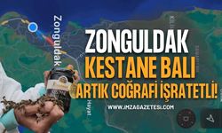 Müjde! Zonguldak Kestane Balı Coğrafi İşaretli Oldu!