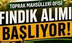 TMO Kdz. Ereğli Ve Alaplı’da Fındık Alımına Başlıyor!