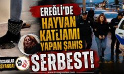 Ereğli'de Hayvan Katliamı Yapan Şahıs Serbest!