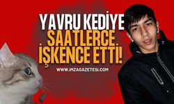 Yavru Kediye Saatlerce İşkence Etti!