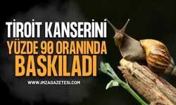 Salyangoz Mucizesi: Tiroit Kanserini Yüzde 90 Oranında Baskıladı