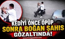 Kediyi Önce Öpüp Sonra Boğan Şahıs Gözaltında!
