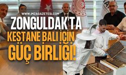 Zonguldak'ta Kestane Balı İçin Güç Birliği!