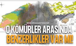 O Kömürler Arasında Benzerlikler Var Mı!