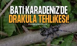 Drakula, Doğu ve Doğu Karadeniz'den Sonra Batı Karadeniz'de!