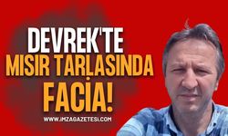 Devrek'te Mısır Tarlasında Facia!