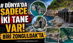 Dünya’da sadece iki tane var! Biri Zonguldak’ta