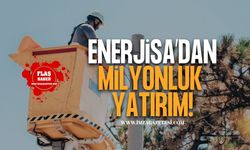 Enerjisa Enerji A.Ş Milyonluk Yatırım!