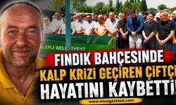 Fındık Bahçesinde Kalp Krizi Geçiren Çiftçi Hayatını Kaybetti!