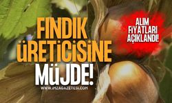 Fındık Üreticisine Müjde! TMO 2026/27 Sezonu Alım Fiyatlarını Açıkladı