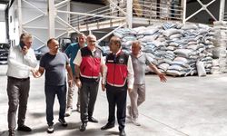 Başkandan Ve Müdürden Sera Bölgesinde İnceleme!