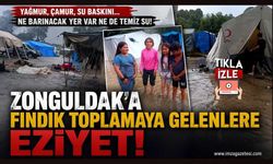 Zonguldak'a Fındık Toplamaya Gelenlere Eziyet!
