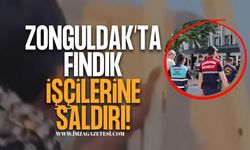 Zonguldak’ta Fındık İşçilerine Saldırı!