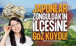 Zonguldak Havalimanı Çevresinde 'Japon' Hareketliliği: Toprak Yatırımları Gündem Oldu!
