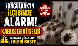Zonguldak'ın ilçesinde Alarmı! Kabus geri geldi!