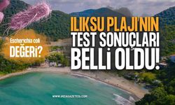 Zonguldak Kozlu Ilıksu Plajı Deniz Suyu Analizi Sonuçlandı: Denize Girmek Güvenli mi?