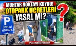 Muhtar Noktayı Koydu! Otopark Ücreti Yasal Mı?