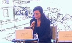 Yaşanan ölümler "kaza" ya da "kader" kavramlarıyla açıklanamaz