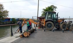 Zonguldak'ta Liman Kıyısına Vuran Dev Ağaç Kütüğü Denizden Çıkarıldı