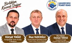 Ereğli’de Altıncı Meslek Grubu Bağımsız Adayları Sahaya İniyor