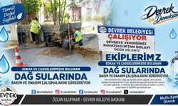 Dağ Suyu Çeşmeleri Bakımda!