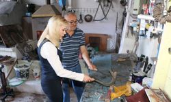 Gökçebey Kaymakamı Şıktaş, Sıcak Közde Demir Dövdü