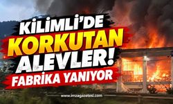 Kilimli'de Korkutan Alevler! Fabrika Yanıyor