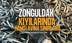 Zonguldak Kıyılarında Hamsi Avına Saat Sınırı