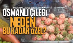 Arnavutköy’den Ereğli’ye Uzanan Miras: Osmanlı Çileği Neden Bu Kadar Özel?