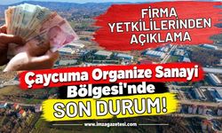 Çaycuma OSB'de Maaş Krizi: Firma Yetkililerinden Açıklama