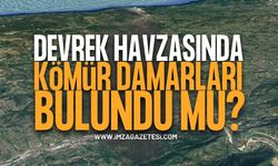 Devrek Havzasında Kömür Damarları Bulundu Mu?