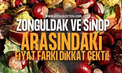 Zonguldak ve Sinop Arasındaki Kestane Fiyat Farkı Dikkat Çekti