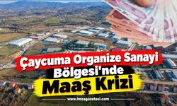 Çaycuma Organize Sanayi Bölgesi'nde Maaş Krizi