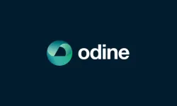 Odine Hisse Neden Düşüyor? 30 Eylül