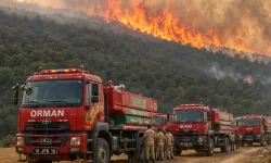 Ormanları Yakanlara Büyük Darbe! 27 İlde Operasyon: 16 Tutuklama