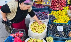 Vitamin Fışkırıyor… Kanın Temizlenmesini Sağlıyor…