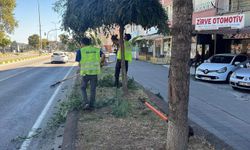 Devrek Belediyesi'nden Hummalı Çalışma!