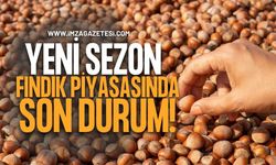 Yeni Sezon Fındık Piyasasında Son Durum! Serbest Piyasa ve TMO Fiyatları Ne Kadar?