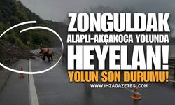 Zonguldak Alaplı-Akçakoca Karayolunda Heyelan