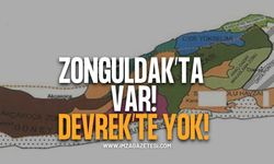 Zonguldak'ta Var. Devrek'te Yok