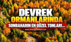 Devrek Ormanlarında Sonbaharın En Güzel Tonları…