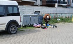 Belediyeden Başıboş Hayvan Sahiplerine Uyarı…