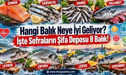 Hangi Balık Neye İyi Geliyor? İşte Sofraların Şifa Deposu 8 Balık!