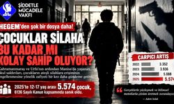 HEGEM raporları hem ürkütücü hem düşündürücü "çocuklar şiddetin kıskacında"