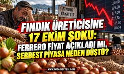 Fındık Üreticisine 17 Ekim Şoku: Ferrero Fiyat Açıkladı mı, Serbest Piyasa Neden Düştü?