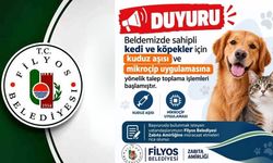 Belediyeden Kuduz Aşısı Uyarısı