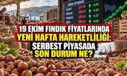 19 Ekim Fındık Fiyatlarında Yeni Hafta Hareketliliği: Serbest Piyasada Son Durum Ne?