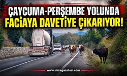 Çaycuma-Perşembe Yolunda Faciaya Davetiye Çıkarıyor!