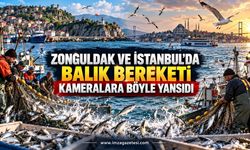 Zonguldak ve İstanbul’da Balık Bereketi Kameralara Böyle Yansıdı